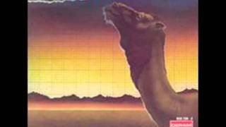 Camel - Summer Lightning (with lyrics)