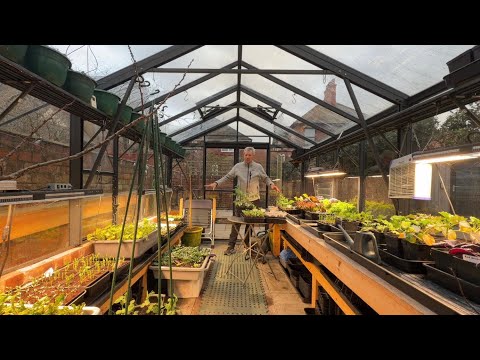 January Seedling Growth: Time Flies for Young Plants