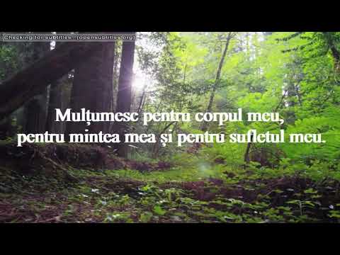 07.11.2020 - Program muzical Sabatul Recunoștinței