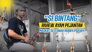 Download lagu VLOG REVIEW AYAM PEJANTAN DI PETERNAKAN RUBBY PAKHOY mp3