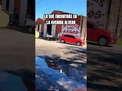 ¿Buscás casita para el perro? Pasá por la Av. Alvear y fijate