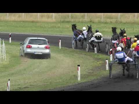 Trka "Kasački savez Vojvodine" 18.07.2021 Armani B - Antun Horvatski