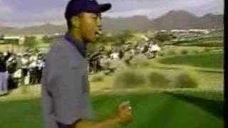 Tiger Woods Hole-In-One 16th Hole Scottsdale, Phoenix Open