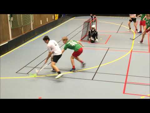 2019 04 28  Frölunda IBK Tillberga Roosters