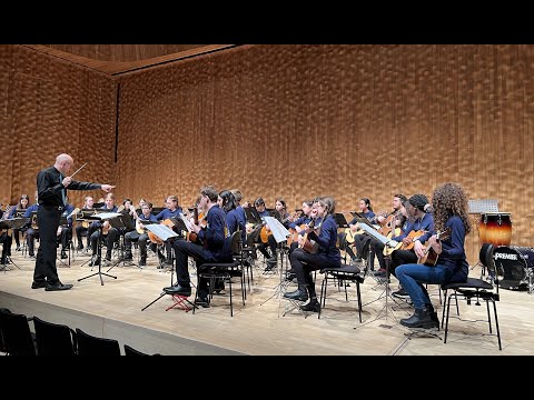 NZO-YOUNGSTERS: Hans Newsidler Gassenhawer