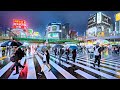 Tokyo Japan 4 Hours Of Heavy Rain Night Walk 4K HDR