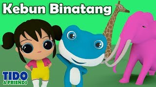 Download lagu Kebun Binatang Lagu Anak Terbaru TK PAUD Bersama Tidofriends LOL - Disertai Lirik Lagu mp3