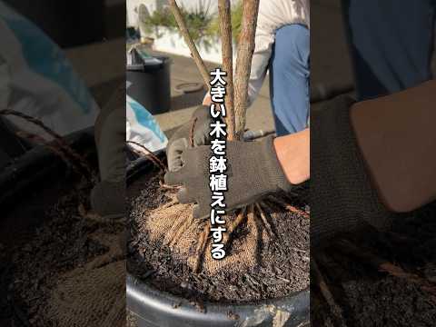 プラスチック製の植木鉢をペイントする方法