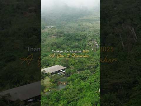 ✨ Let's revisit the moments of relaxation and joy that shaped 2025.