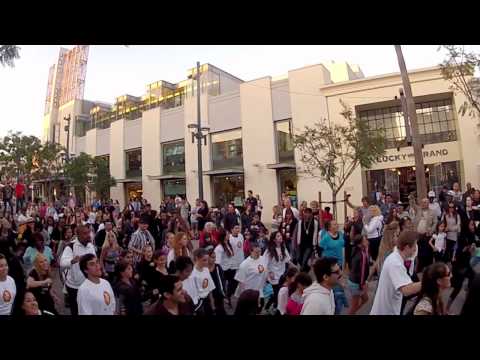 Shadoe Stevens Birthday Flash Mob - Dance Mob Nation