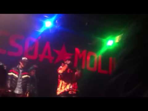 Papyrus  freestyle macello