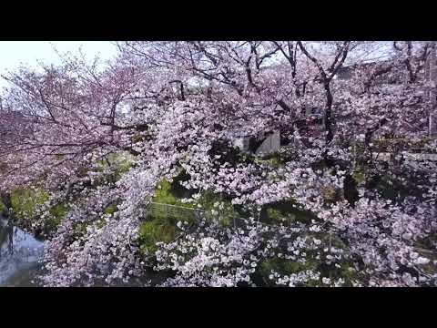 袋井用水／Fukuroi Yosui