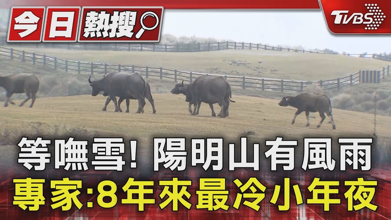 等嘸雪!陽明山有風雨 專家:8年來最冷小年夜