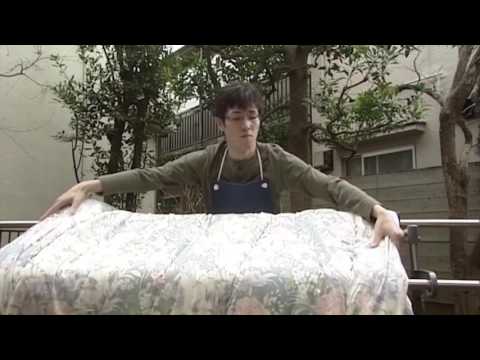 鶏のワクモの治療法は何ですか?イエダニを駆除するために取るべき手順  庭園