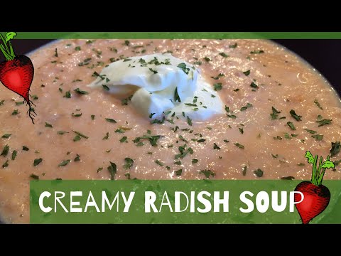 download lagu mp3 mp4 Cream Of Radish Soup, download lagu Cream Of Radish Soup gratis, unduh video klip Cream Of Radish Soup