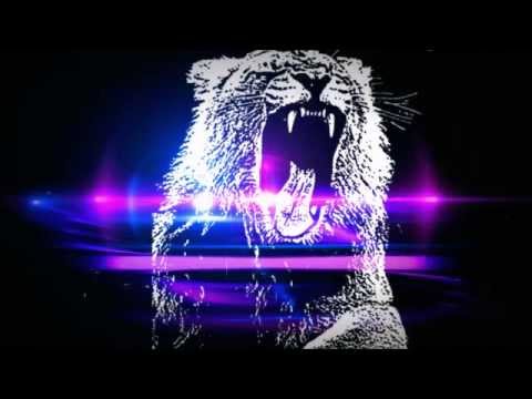 Martin Garrix vs Nirvana - Smells Like Teen Animals (Gian Toselli Mashup)