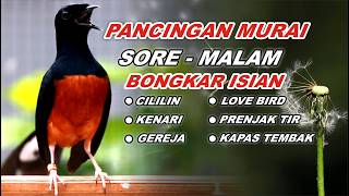 Download lagu 🔴 LIVE 64 - Pancingan Murai Batu Full Isian Tembakan Mewah, Ampuh Bikin Murai batu bongkar isian mp3