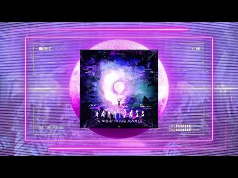 HanniBaSs - A Night In The Jungle [Mystic Tekno]
