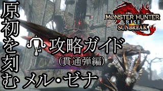 Re: [MHRS] 狂化+天衣+鋼心，這種搭配可行嗎？