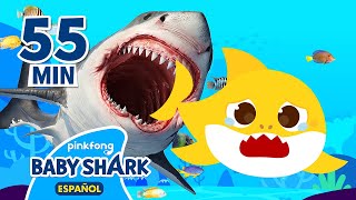 ¡No tengo miedo! | Un Aterrador Juego del Escondite con Tiburón Bebé | Mix | Baby Shark en español