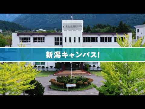 海洋生命科学科 北里大学 健康科学部 看護学科