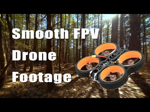 Satisfying Flight Through The Woods [Cinewhoop FPV Drone]