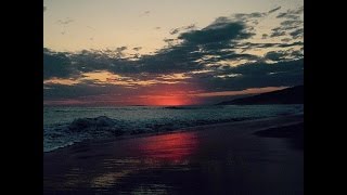 Red: King Crimson/ a-cappella by Petra Haden