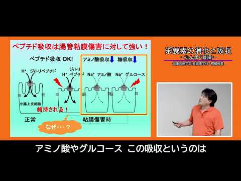 21 健康発達学部　食健康学科　模擬授業　「栄養素の消化と吸収～たんぱく質編～」