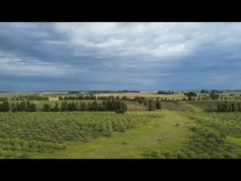 Video de YouTube - 78 Has Establecimiento Olivicola, A 3 Km De Ruta 3, Excelente Ubicacion Y Accesos