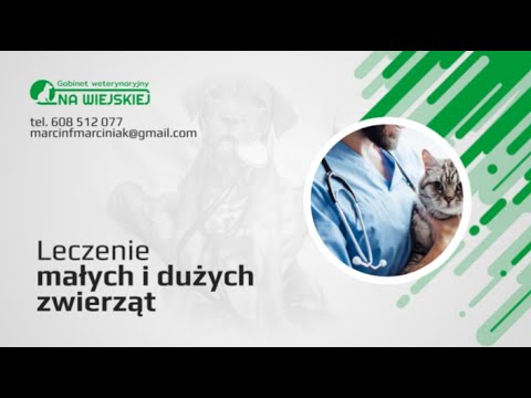 Zobacz filmy filmy