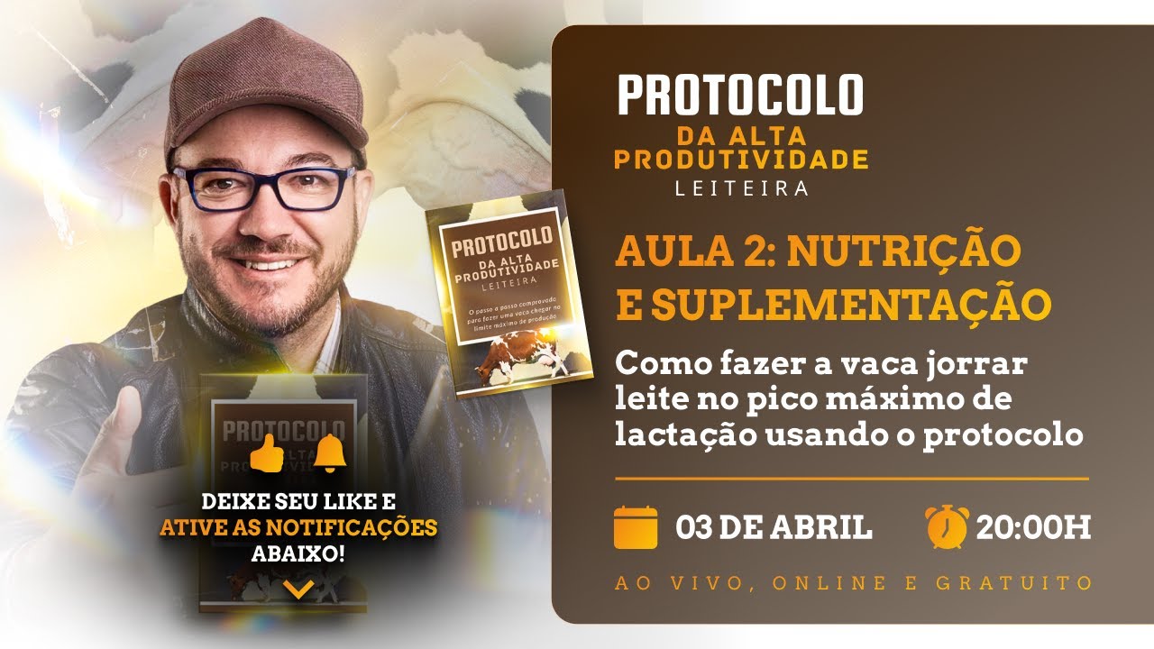AULA 2️⃣:  Como fazer a VACA chegar no PICO MÁXIMO de lactação usando o protocolo