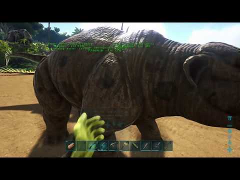 Soloing The Ark-S1E4: Taming a Phiomia