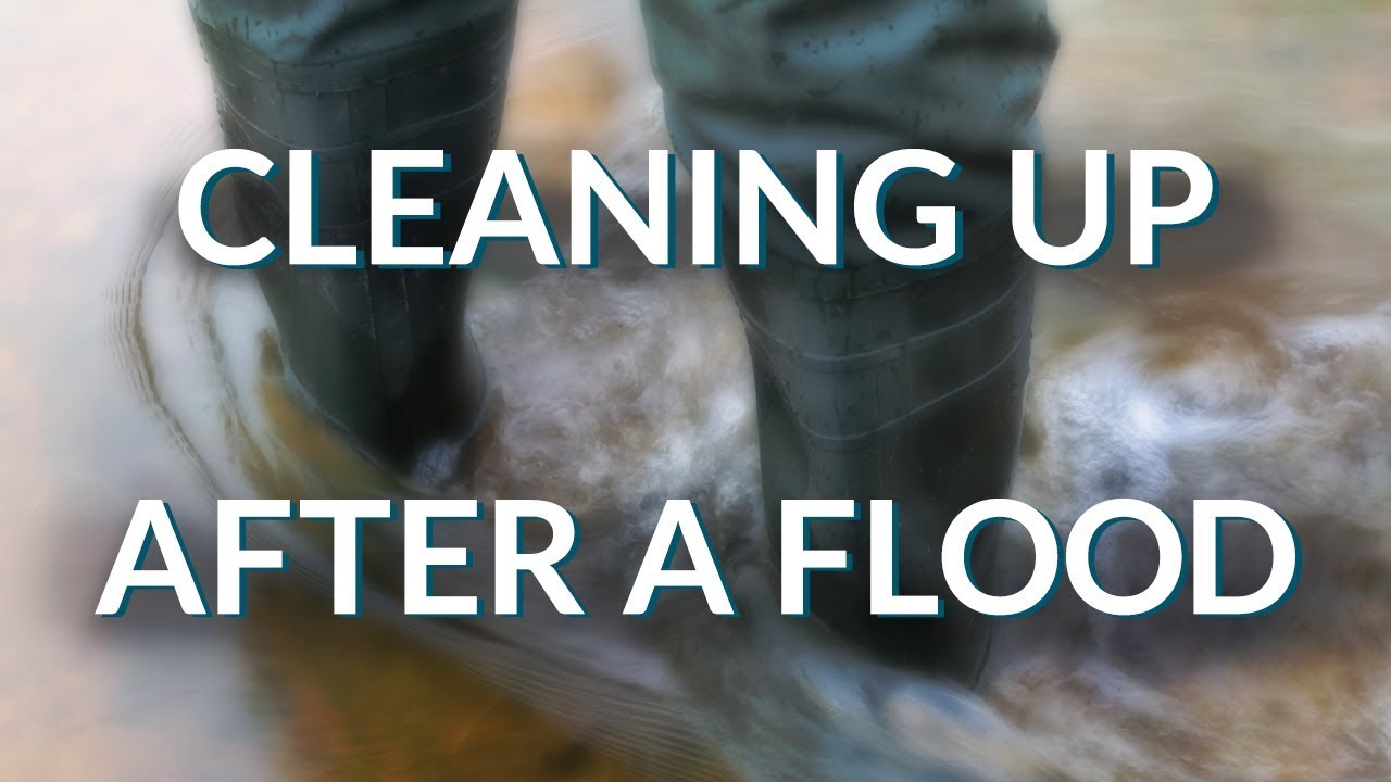 How to Handle A Flood: What You Need for Cleanup