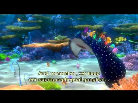 Finding Nemo - Mr. Ray