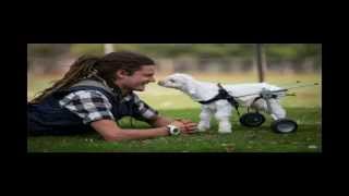 Download lagu Thomas Bergersen - Colors of Love mp3 Download lagu Thomas Bergersen - Colors of Love mp3