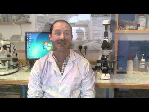 Biofumigation research: Bill Watts