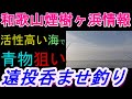 02 01　煙樹ヶ浜釣り情報・実釣編【第1230回】活性の高い海で、青物狙い ＃遠投カゴ釣り 和歌山釣り 煙樹ヶ浜