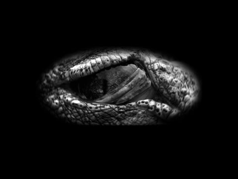 Video thumbnail for La peau d’un monstre