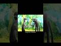Don T Touch Us Minecraft Enderman Creepy Enderman Minecraft