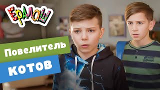 Ералаш №356 - Повелитель котов