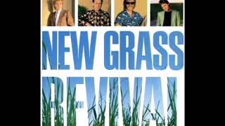 New Grass Revival [1986] - New Grass Revival
