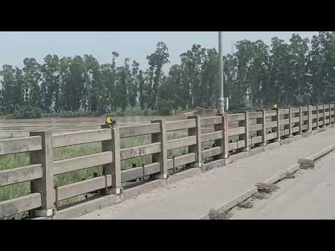 Flood in Beas River at Goindwal Sahib