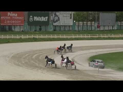 Trka ''Konjicki klub Pomoravlje'' 24.4.2022 Carli Star - Gabric ml. Josip