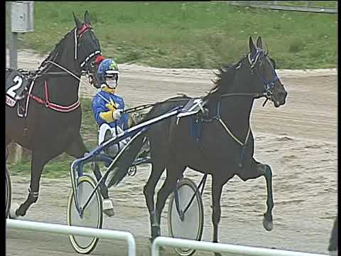 Trotto 04/03/2018 - 2ª corsa