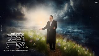 שלמה כהן - ובכל זאת | Shlomo Cohen - Uv'chol Zot