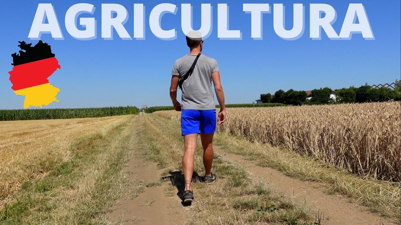 AGRICULTURA NA ALEMANHA 🚜 | O que é cultivado aqui