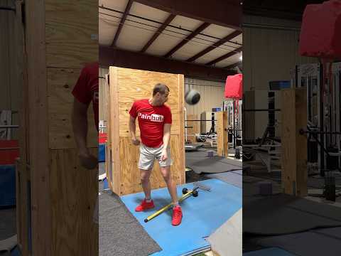 My 4 Most Regrettable Videos of the Week 😂