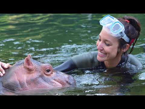 Working with #TeamFiona