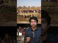 Deadly Crocodile Story Sri Info Tamil