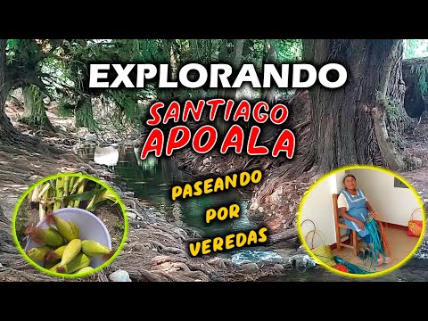 🌎EXPLORANDO Santiago APOALA en la   MIXTECA OAXACA: Profe Martin Vlogs || part1